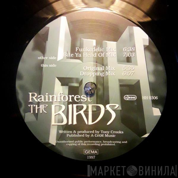 Rainforest - The Birds