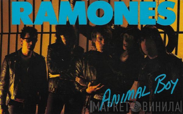  Ramones  - Animal Boy