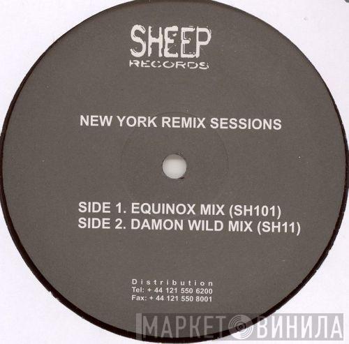 Raoul Delgardo, David Paxton - New York Remix Sessions