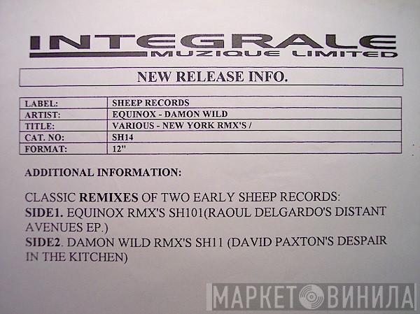Raoul Delgardo, David Paxton - New York Remix Sessions