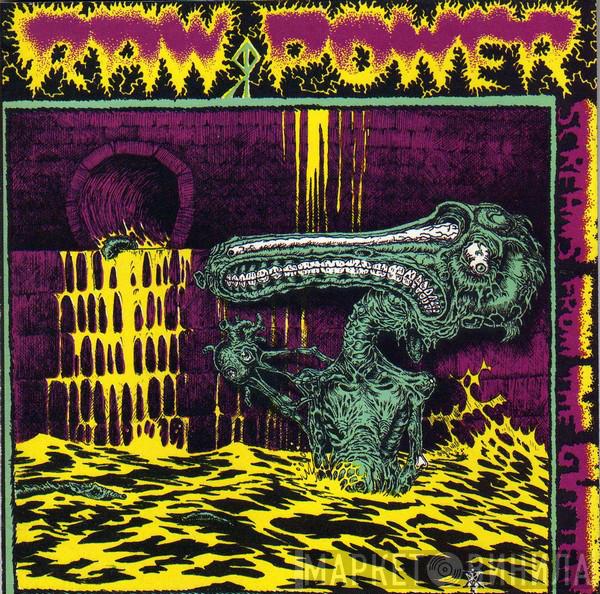  Raw Power   - Screams From The Gutter / After Your Brain