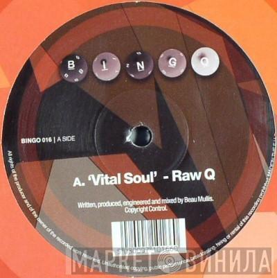 Raw Q, DJ Zinc - Vital Soul / Departure (D-Bridge Remix)