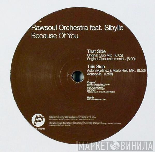 Rawsoul Orchestra, Sibylle - Because Of You