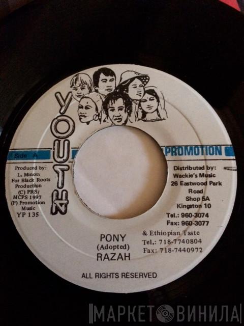 Razah  - Pony
