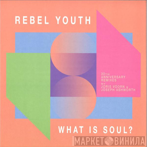 Rebel Youth - What Is Soul? (30th Anniversary Remixes)
