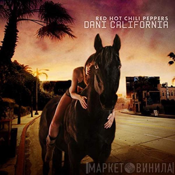  Red Hot Chili Peppers  - Dani California