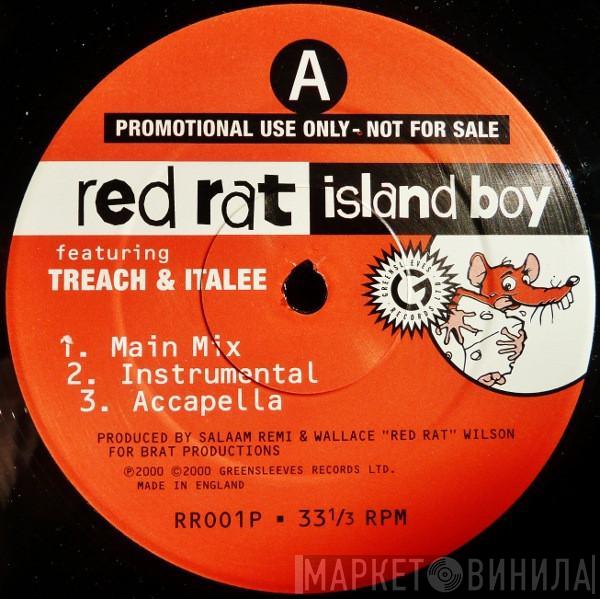 Red Rat - Island Boy