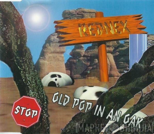  Rednex  - Old Pop In An Oak