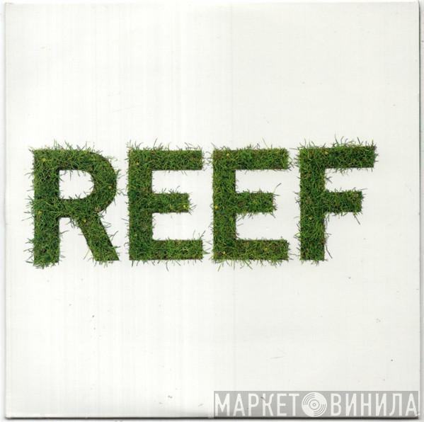 Reef - I've Got Something To Say