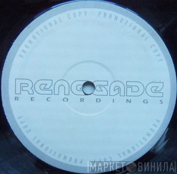  - Renegades Of Funk LP (Vol. 3)