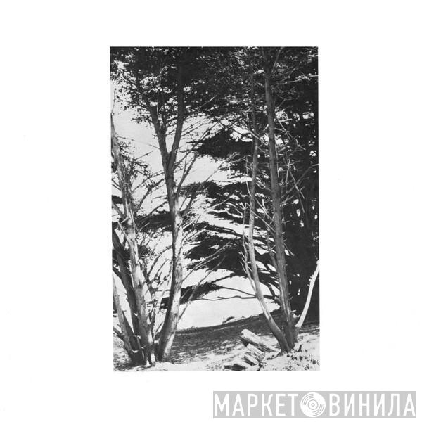 Rick Deitrick - Gentle Wilderness