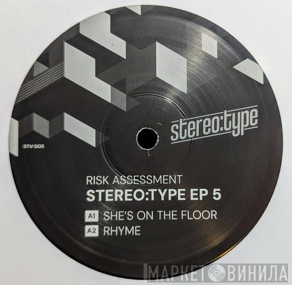 Risk Assessment - Stereo:type EP 5