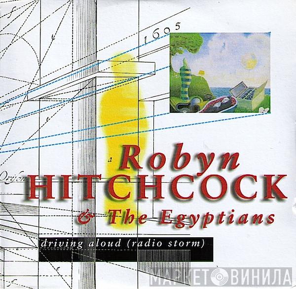 Robyn Hitchcock & The Egyptians - Driving Aloud (Radio Storm)