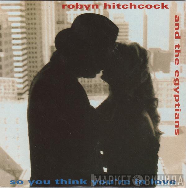 Robyn Hitchcock & The Egyptians - So You Think You're In Love