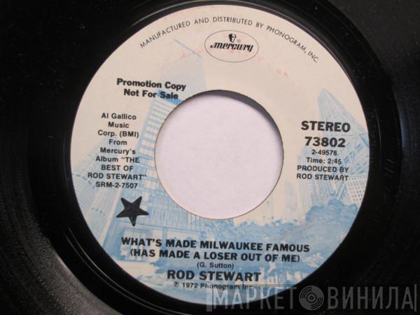  Rod Stewart  - What's Made Milwaukee Famous / Every Picture Tells A Story