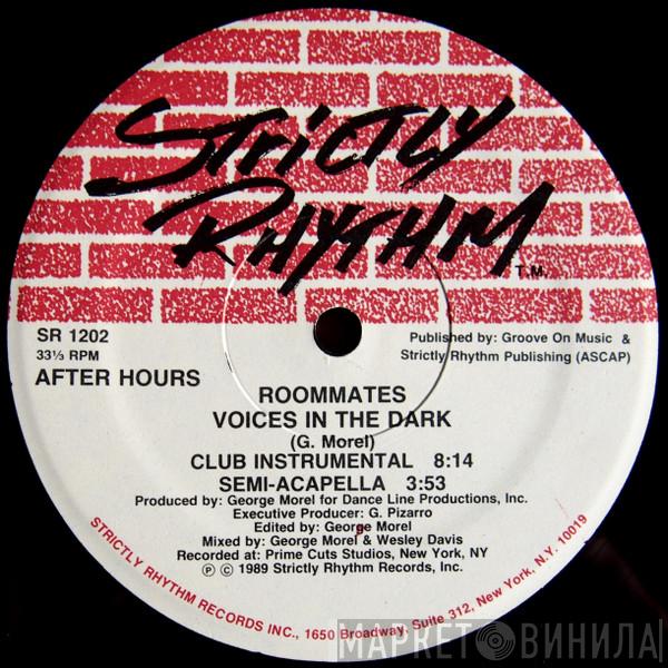 Roommates - Voices In The Dark