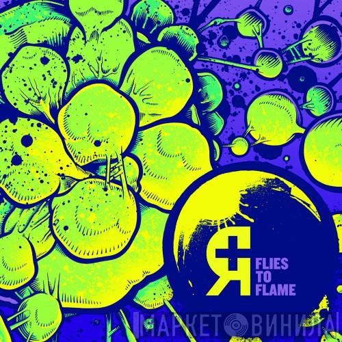 Rosetta  - Flies To Flame