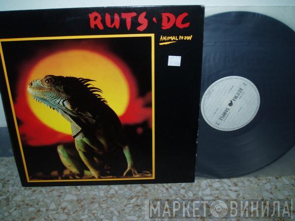  Ruts DC  - Animal Now