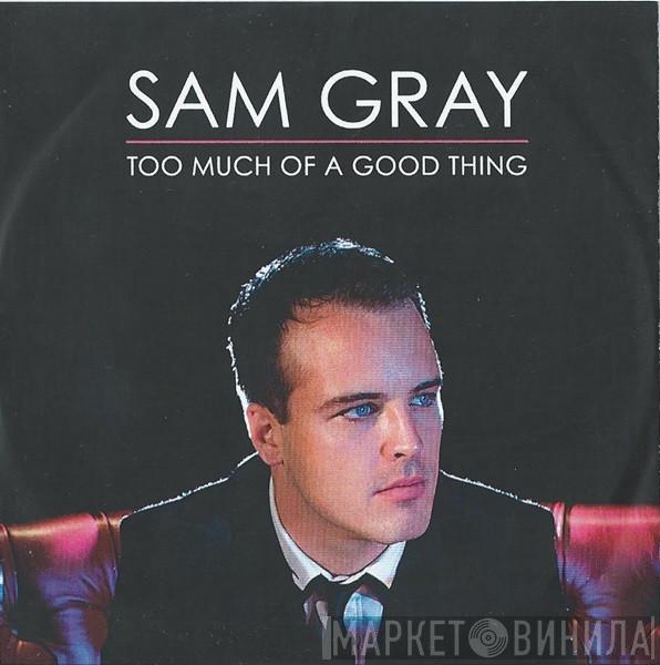 Sam Gray  - Too Much Of A Good Thing