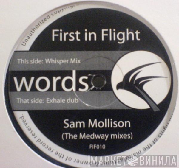 Sam Mollison - Words (The Medway Mixes)