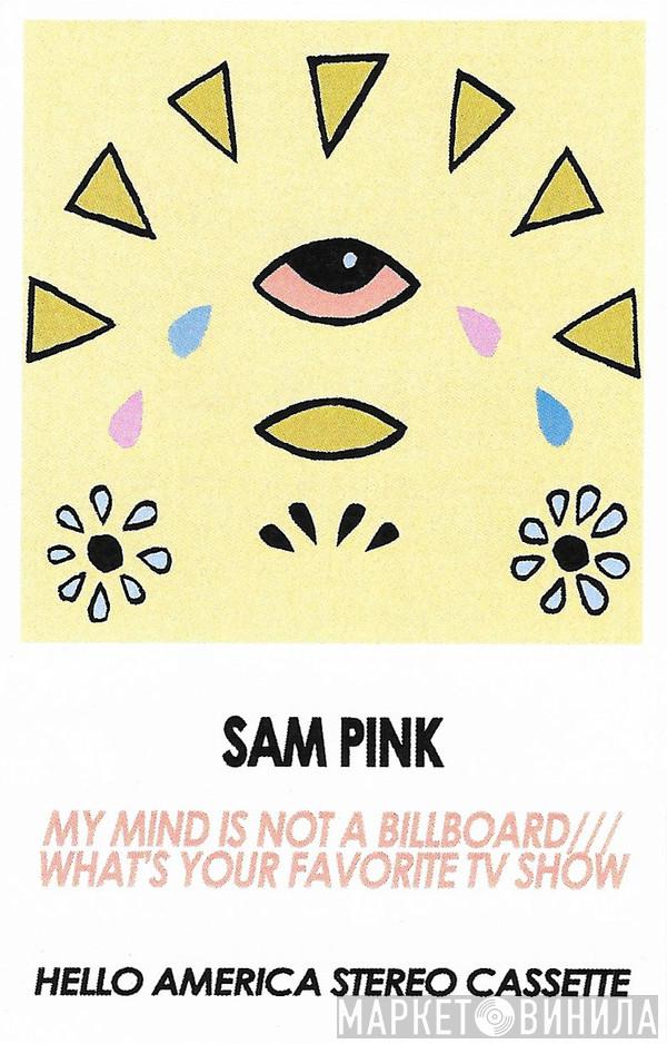  Sam Pink  - My Mind Is Not A Billboard /// What's Your Favorite TV Show