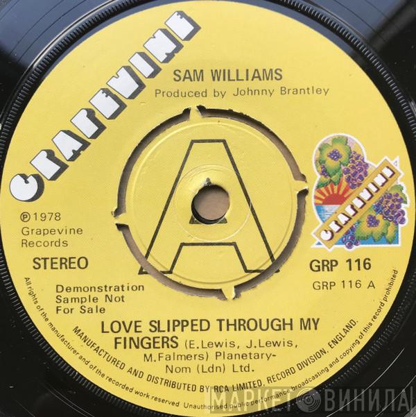 Sam Williams , Towanda Barnes - Love Slipped Through My Fingers / You Don't Mean It