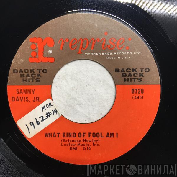  Sammy Davis Jr.  - What Kind Of Fool Am I / Gonna Build Me  A Mountain