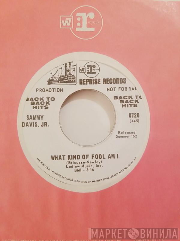  Sammy Davis Jr.  - What Kind Of Fool Am I / Gonna Build Me  A Mountain