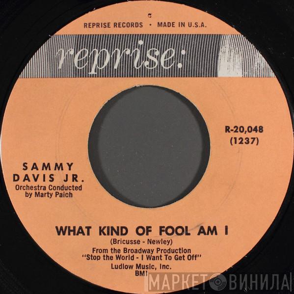 Sammy Davis Jr. - What Kind Of Fool Am I / Gonna Build A Mountain