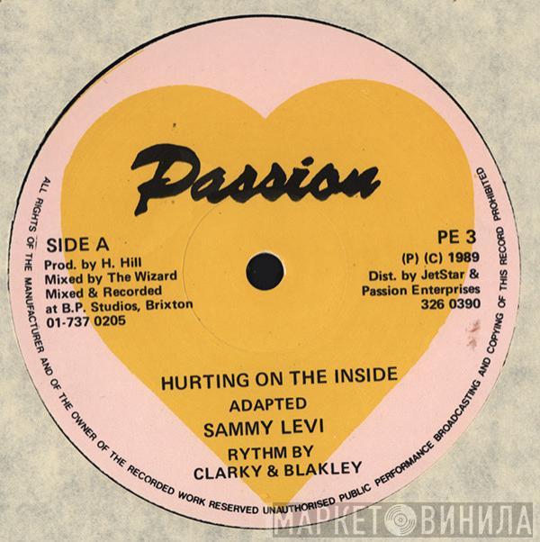 Sammy Levi - Hurting On The Inside