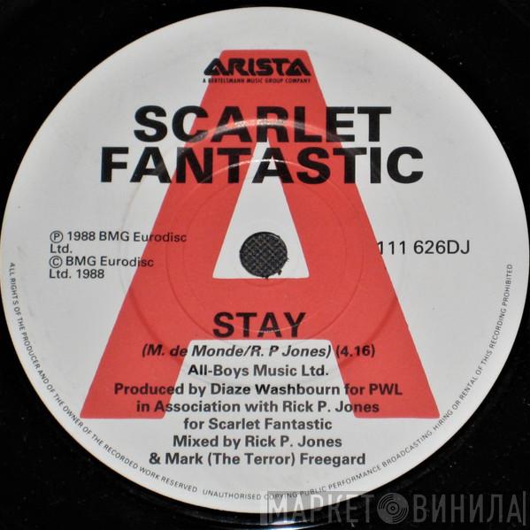 Scarlet Fantastic - Stay