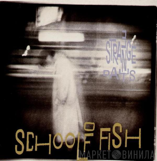 School Of Fish - 3 Strange Days