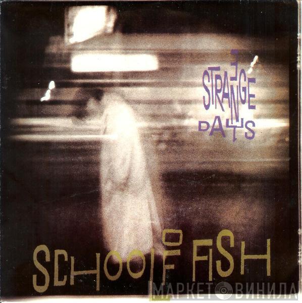 School Of Fish  - 3 Strange Days