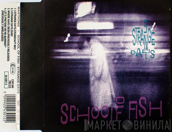  School Of Fish  - 3 Strange Days