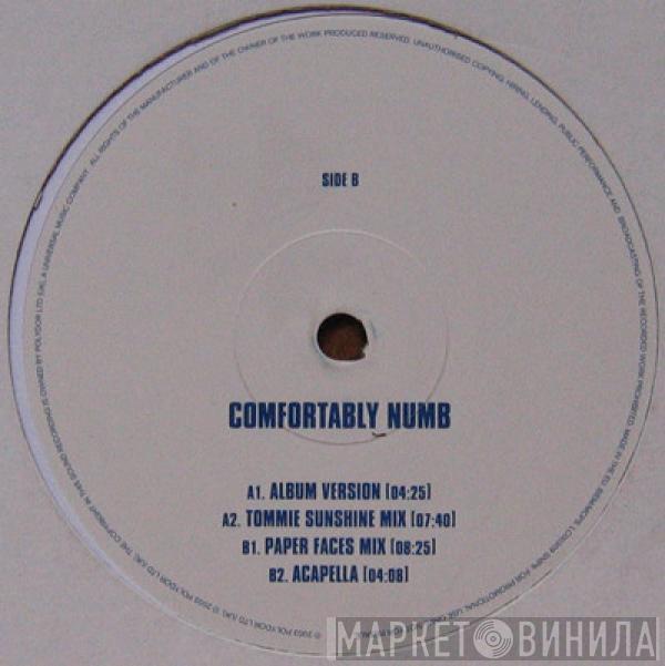  Scissor Sisters  - Comfortably Numb