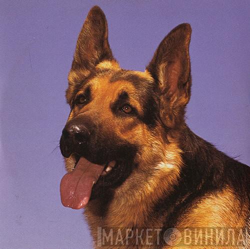 Scooch - Maybe Tomorrow