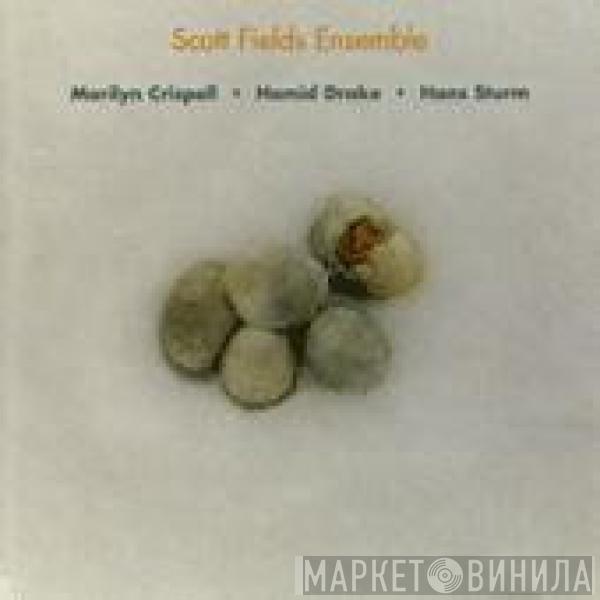 Scott Fields Ensemble - Five Frozen Eggs