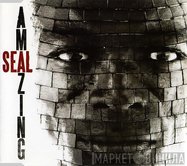 Seal - Amazing