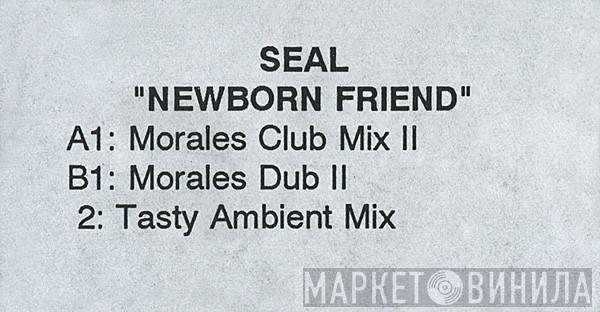  Seal  - Newborn Friend