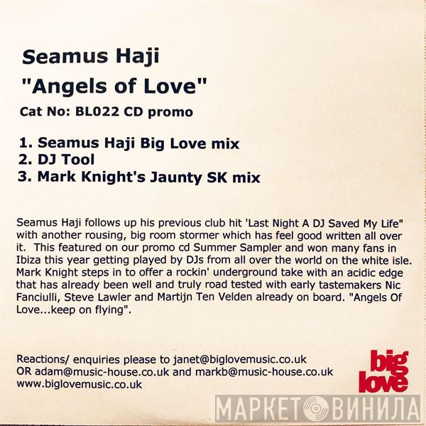  Seamus Haji  - Angels Of Love