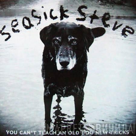  Seasick Steve  - You Can't Teach An Old Dog New Tricks
