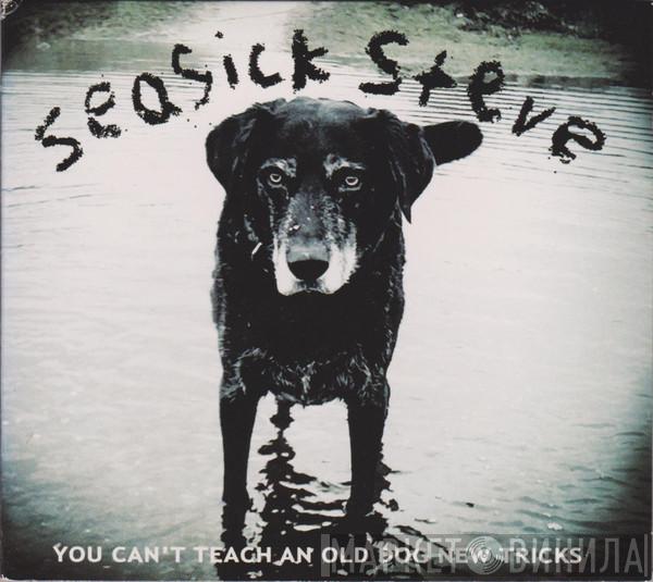  Seasick Steve  - You Can't Teach An Old Dog New Tricks