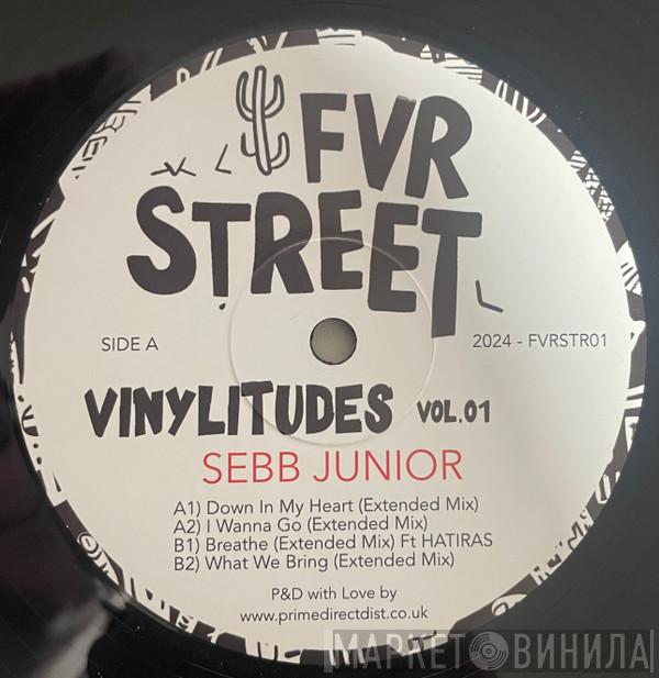 Sebb Junior - Vinylitudes Vol.01