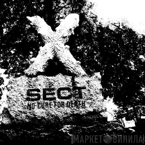 Sect  - No Cure For Death
