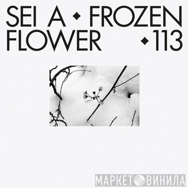 Sei A - Frozen Flower