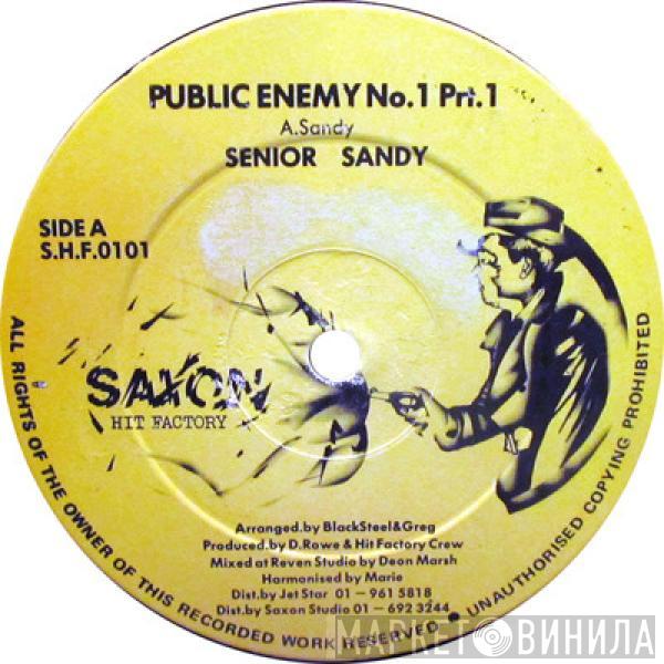 Senior Sandy - Public Enemy