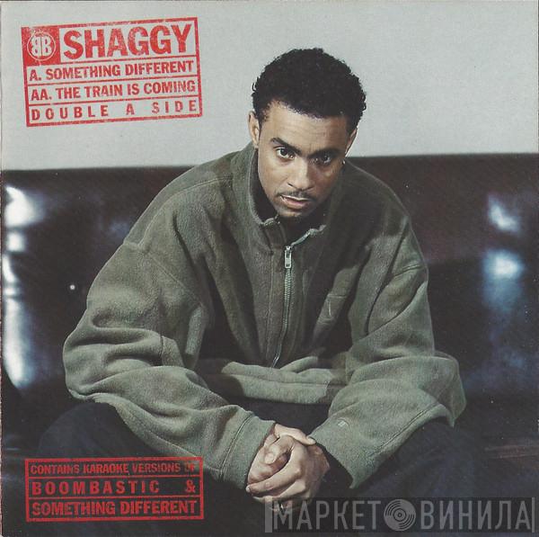 Shaggy  - Something Different / The Train Is Coming