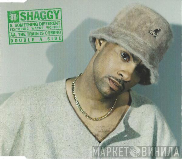 Shaggy  - Something Different / The Train Is Coming