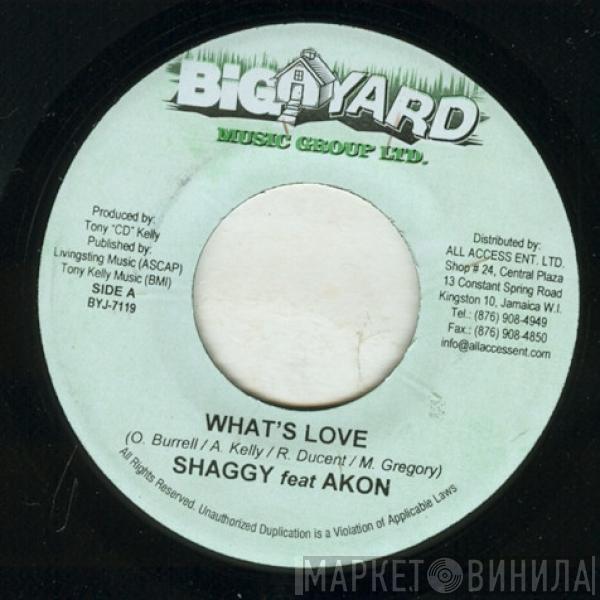 Shaggy, Akon - What's Love