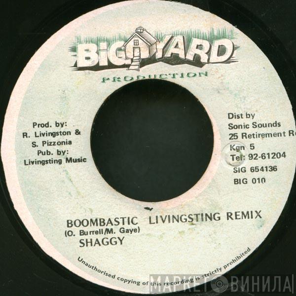  Shaggy  - Boombastic (Livingsting Remix)